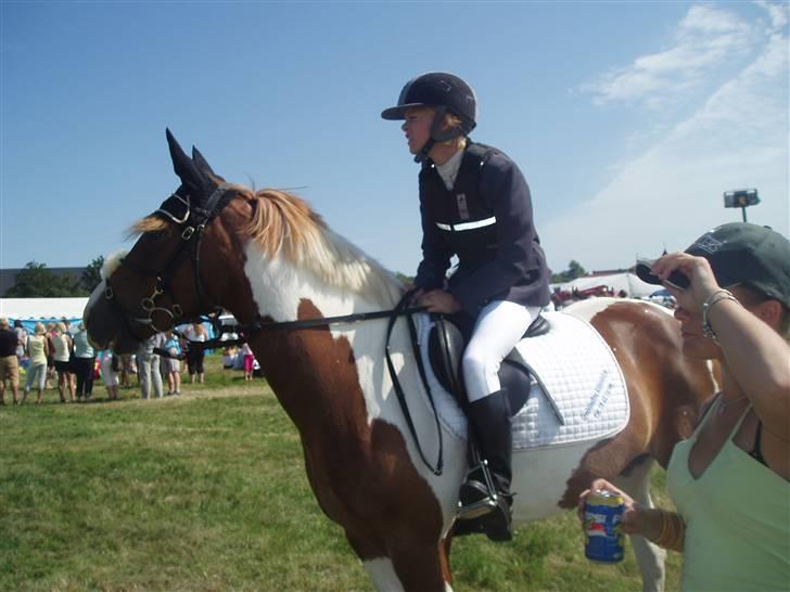 Ribe Dyrskue d.25 juli billede 1