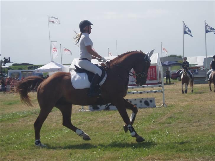 Ribe Dyrskue d.25 juli billede 2