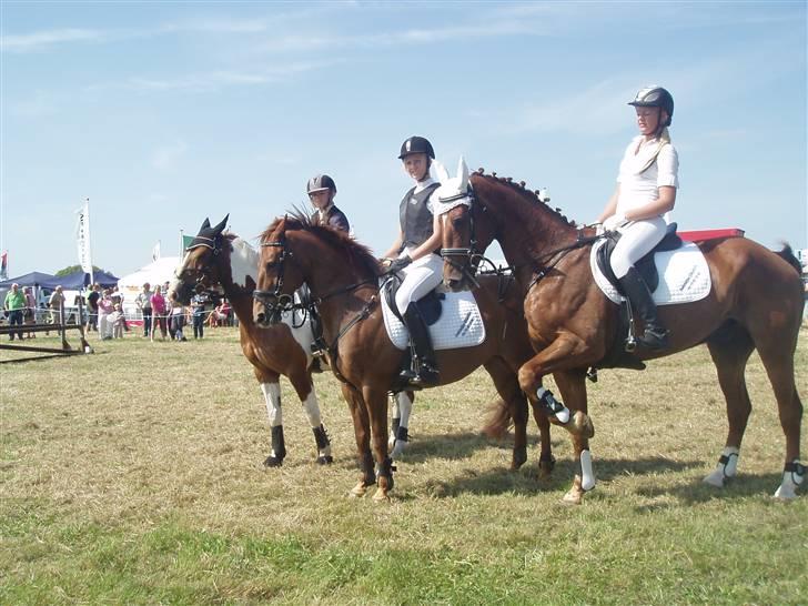 Ribe Dyrskue d.25 juli billede 4