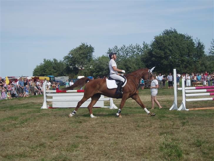 Ribe Dyrskue d.25 juli billede 5