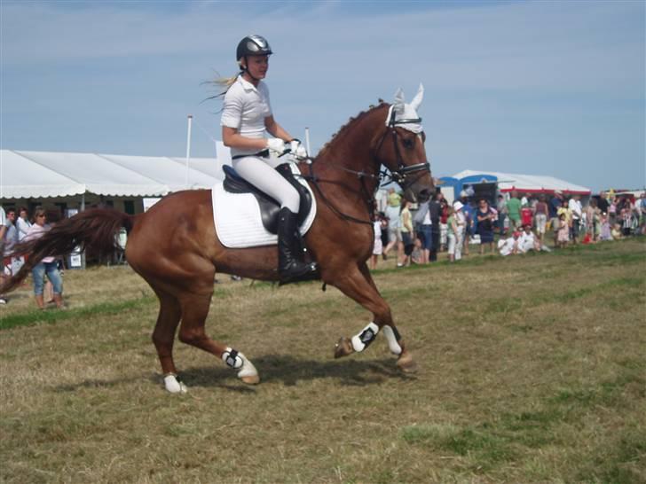 Ribe Dyrskue d.25 juli billede 7