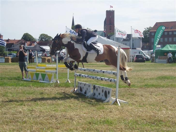 Ribe Dyrskue d.25 juli billede 8