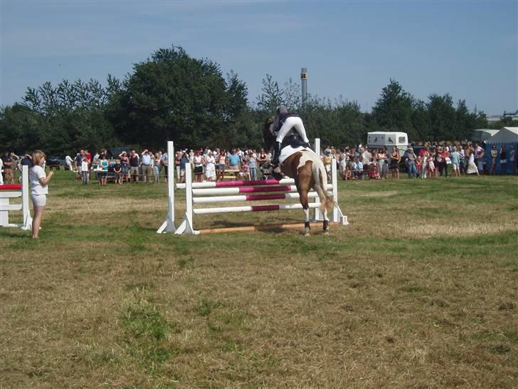 Ribe Dyrskue d.25 juli billede 9