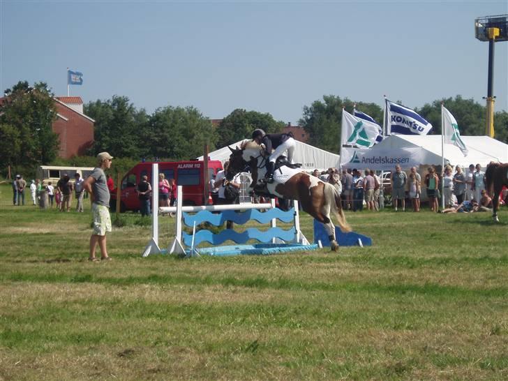 Ribe Dyrskue d.25 juli billede 10