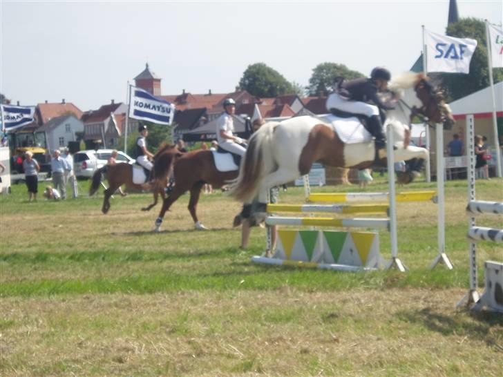 Ribe Dyrskue d.25 juli billede 11