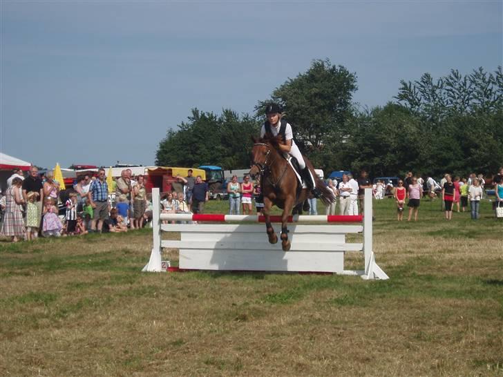 Ribe Dyrskue d.25 juli billede 12