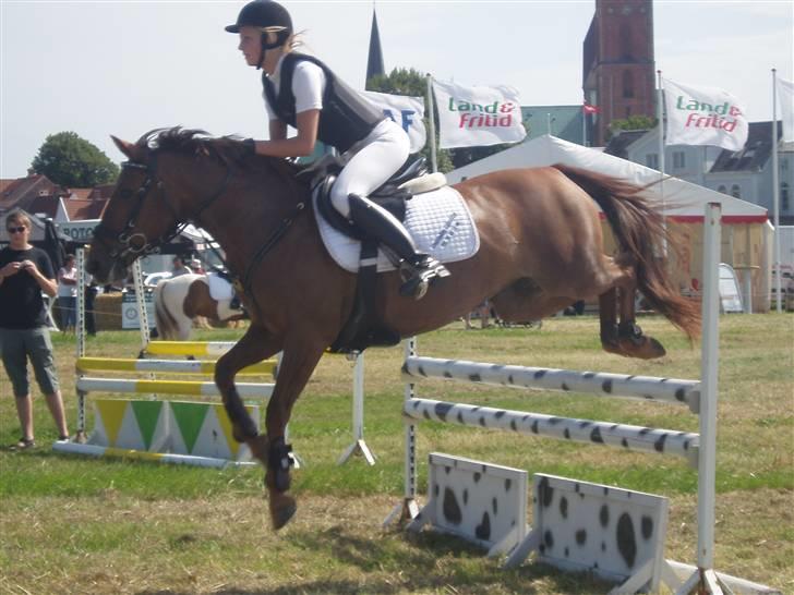 Ribe Dyrskue d.25 juli billede 13