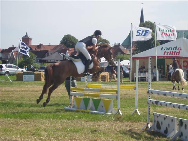 Ribe Dyrskue d.25 juli billede 14