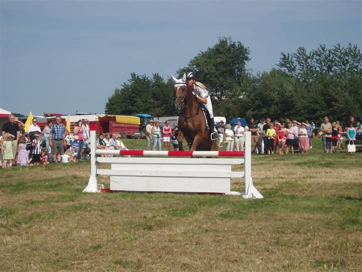 Ribe Dyrskue d.25 juli billede 15