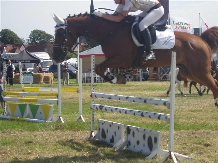 Ribe Dyrskue d.25 juli billede 16