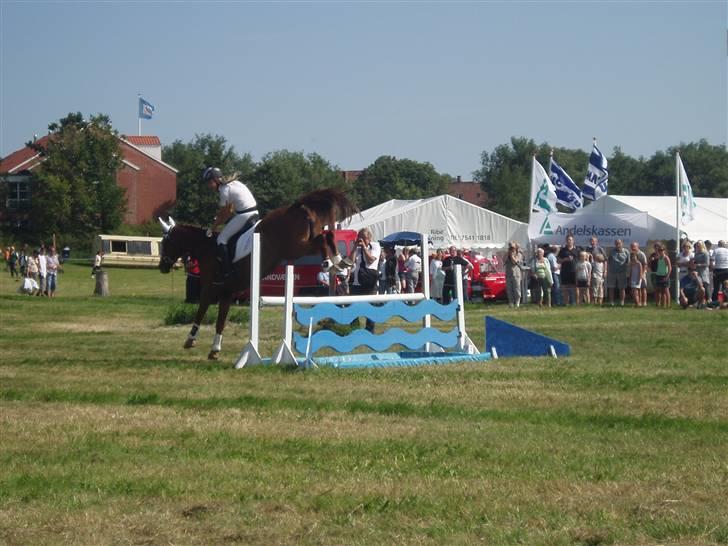 Ribe Dyrskue d.25 juli billede 17