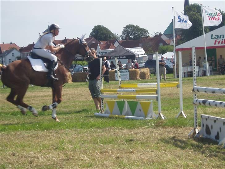 Ribe Dyrskue d.25 juli billede 18