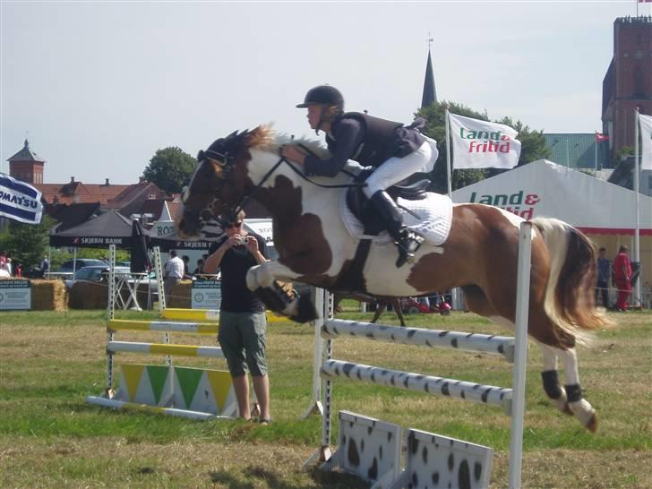 Ribe Dyrskue d.25 juli billede 19