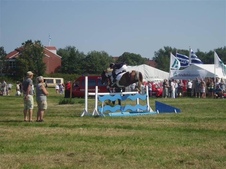 Ribe Dyrskue d.25 juli billede 20