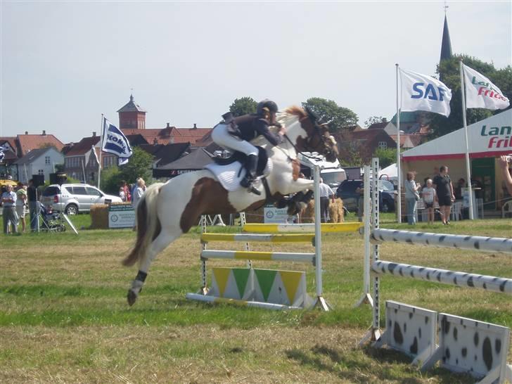 Ribe Dyrskue d.25 juli billede 21