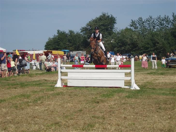 Ribe Dyrskue d.25 juli billede 22