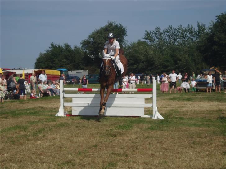 Ribe Dyrskue d.25 juli billede 23