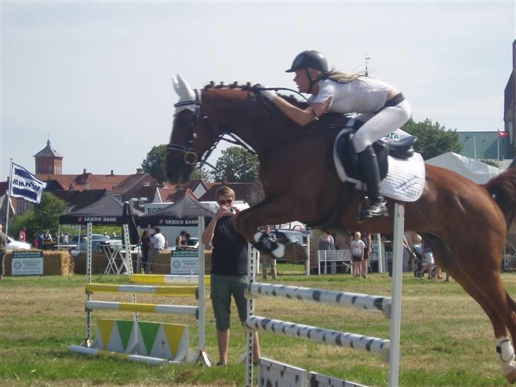 Ribe Dyrskue d.25 juli billede 24