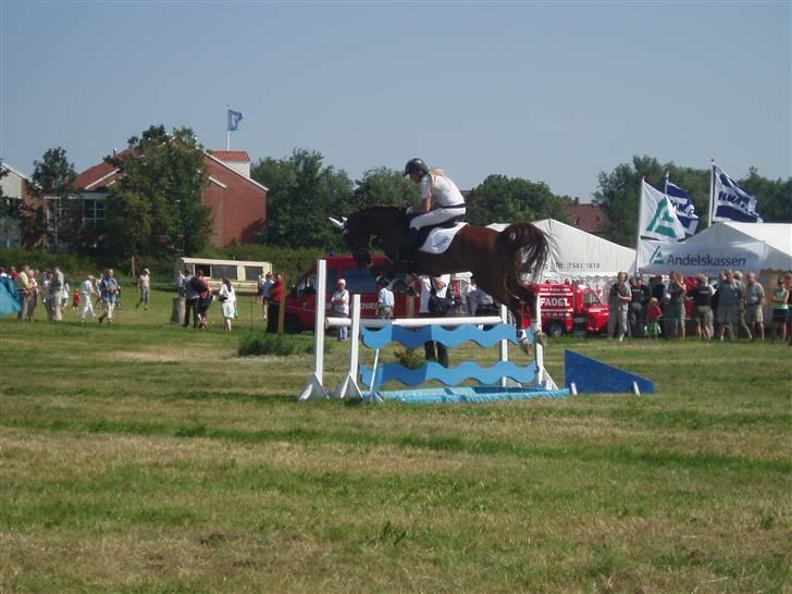 Ribe Dyrskue d.25 juli billede 25