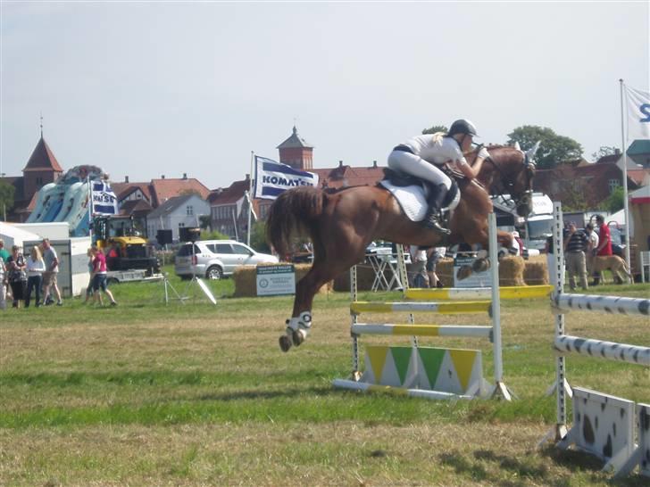 Ribe Dyrskue d.25 juli billede 26