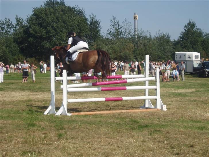 Ribe Dyrskue d.25 juli billede 27