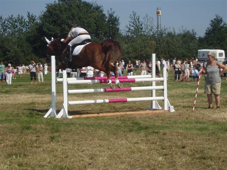 Ribe Dyrskue d.25 juli billede 28