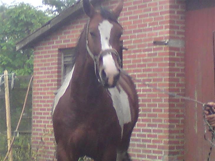 {{currentPhoto.altText}} billede {{currentPhoto.number}}