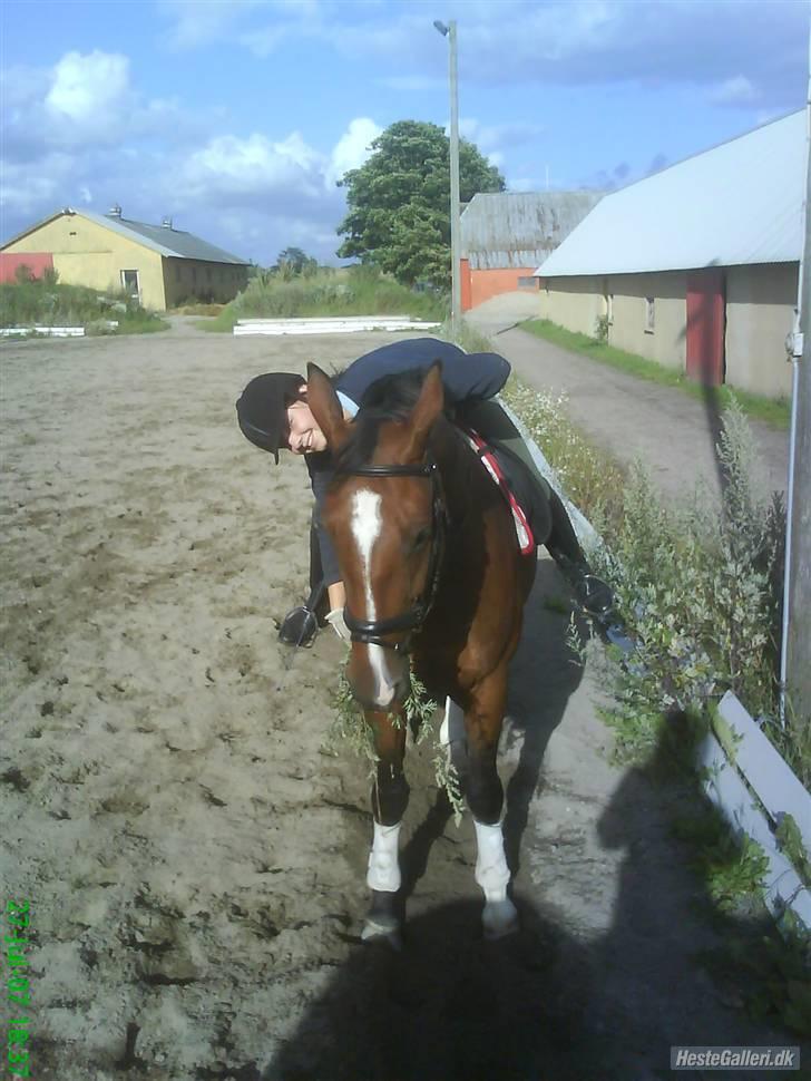 Bækgårdens Hayway - Haha tak for et mærkeligt billede :D billede 2