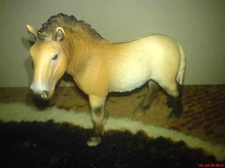 Mine Schleich - Prezwalskihoppe '2006' billede 12