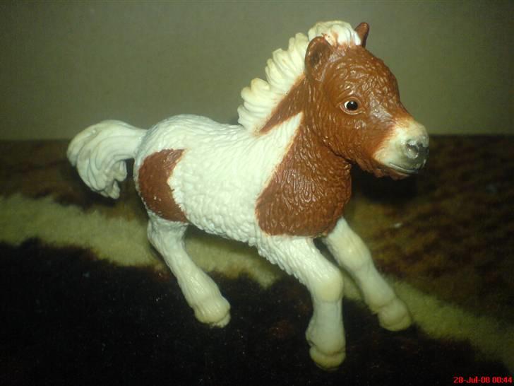 Mine Schleich - Shætlænderføl '2005' billede 43