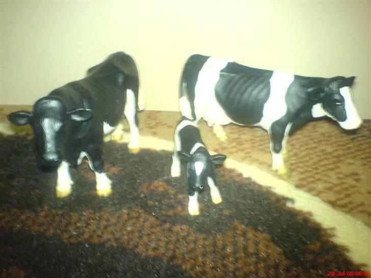 Mine Schleich - Familien ko.
Tyr:2000
Kvie:2000
Kalv:2000 billede 46