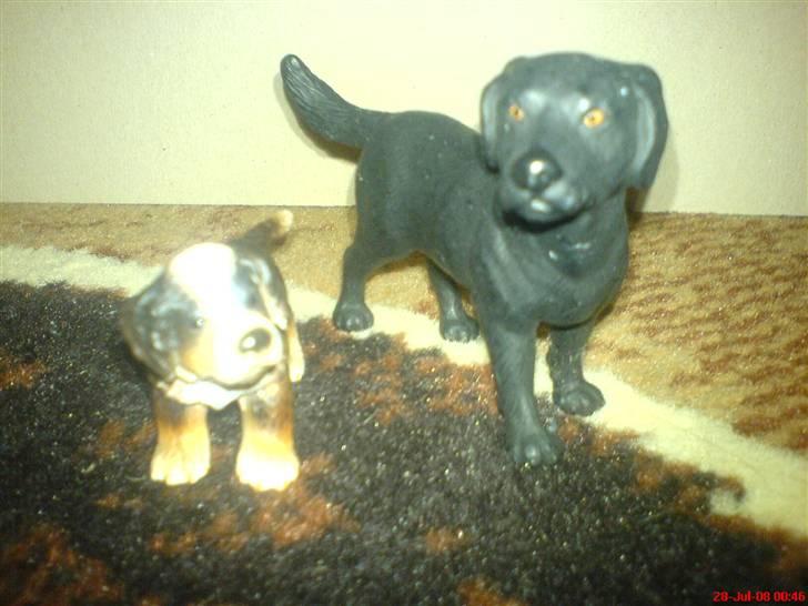 Mine Schleich - Labrador og hvalp
Voksen hund:2001
Hvalp:2005 billede 47