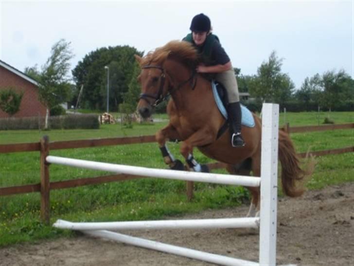 Billeder af andre heste jeg rider - Her springer jeg 85 cm på Emil, d.22/7 ude ved min mor :) billede 2