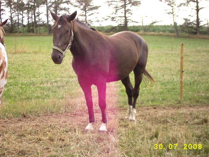 {{currentPhoto.altText}} billede {{currentPhoto.number}}