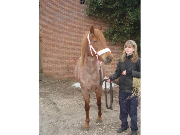 {{currentPhoto.altText}} billede {{currentPhoto.number}}