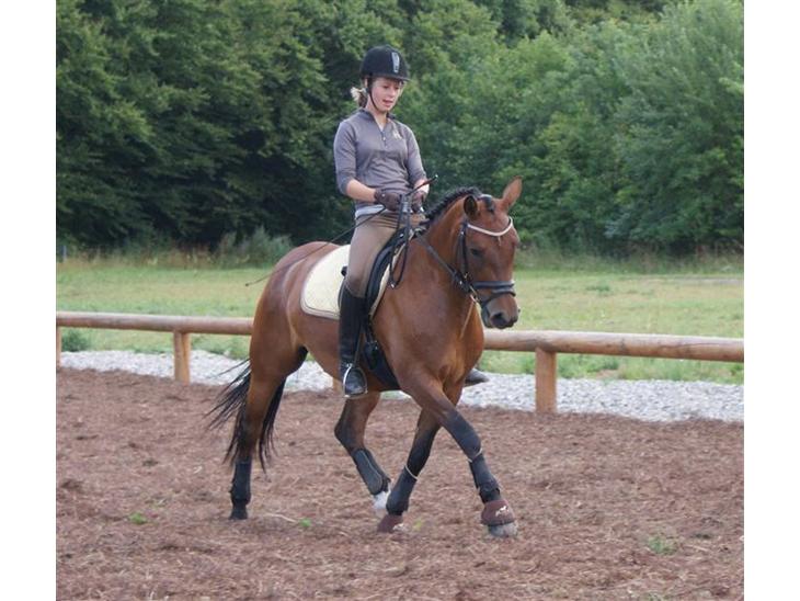 {{currentPhoto.altText}} billede {{currentPhoto.number}}