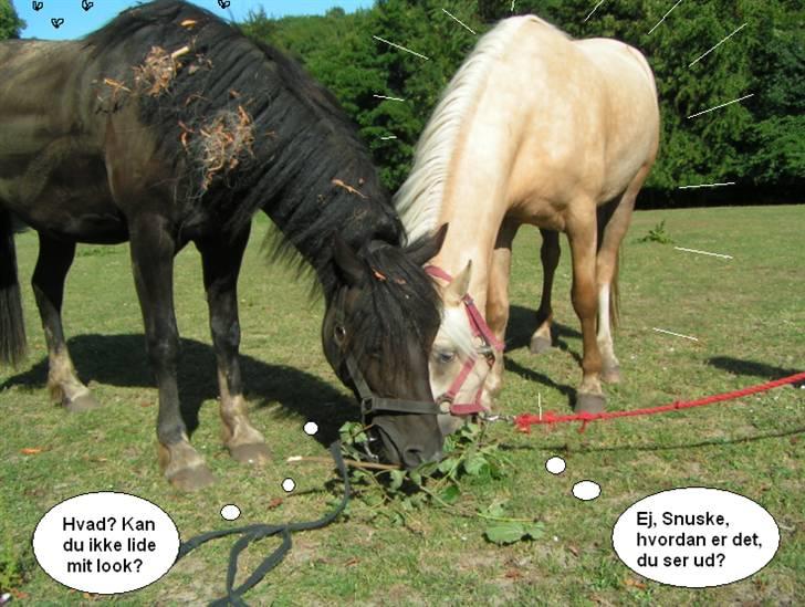 SNOBBY & SNUSKE! :D billede 2