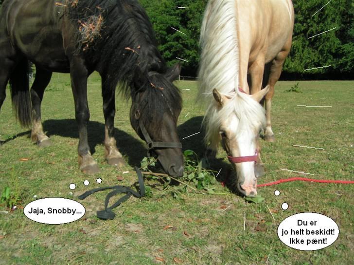SNOBBY & SNUSKE! :D billede 3
