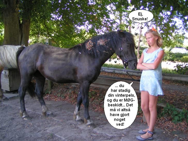 SNOBBY & SNUSKE! :D billede 4