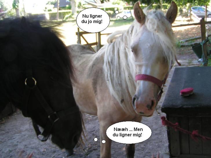 SNOBBY & SNUSKE! :D billede 7