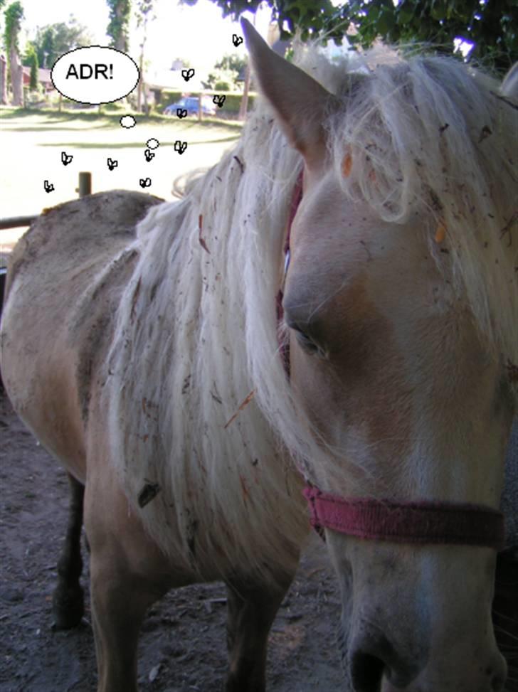 SNOBBY & SNUSKE! :D billede 8