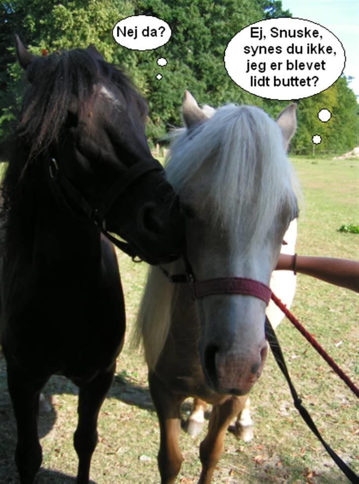 SNOBBY & SNUSKE! :D billede 10