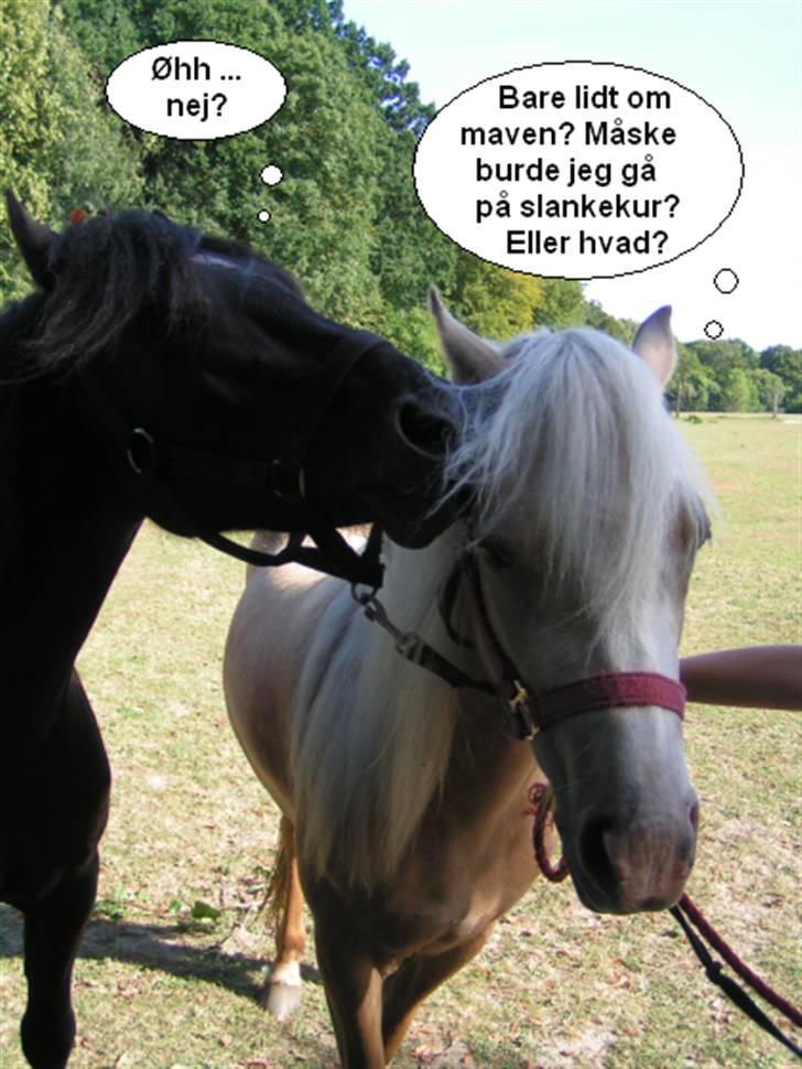 SNOBBY & SNUSKE! :D billede 11