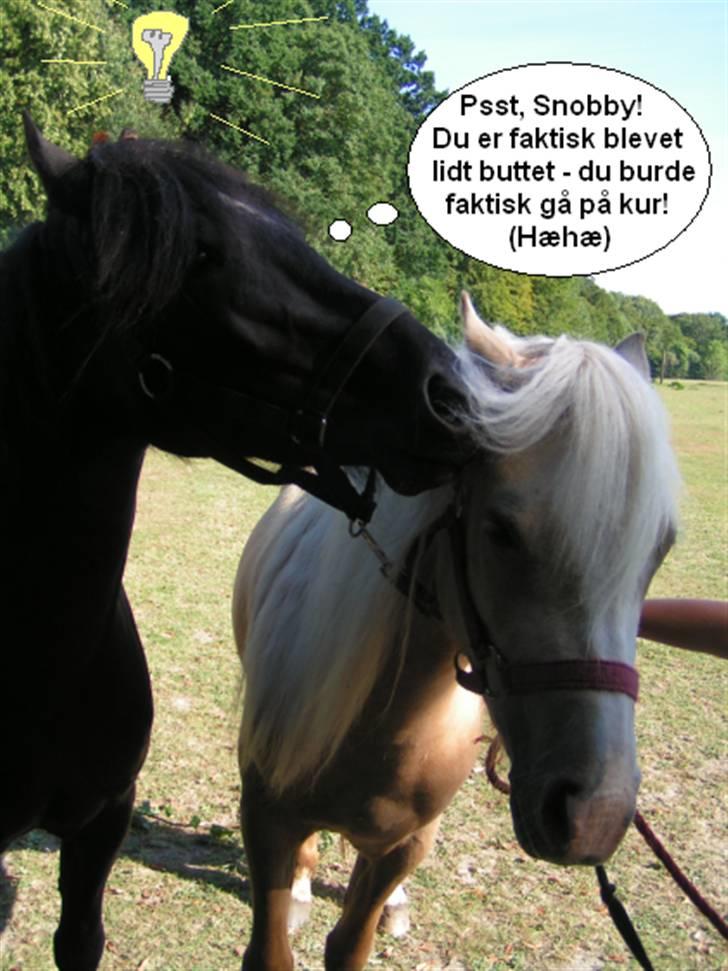 SNOBBY & SNUSKE! :D billede 13