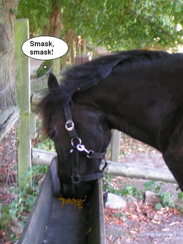 SNOBBY & SNUSKE! :D billede 14