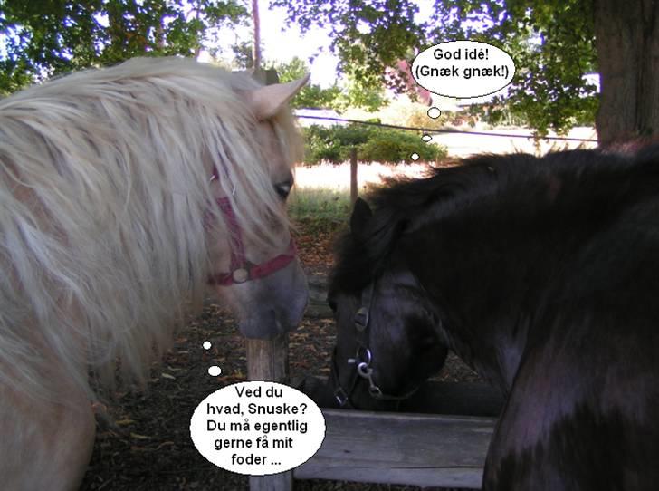 SNOBBY & SNUSKE! :D billede 15