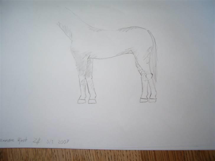 Mine tegninger (dyr) - 3. Her har jeg øvet mig på at tegne kroppe ( : billede 5