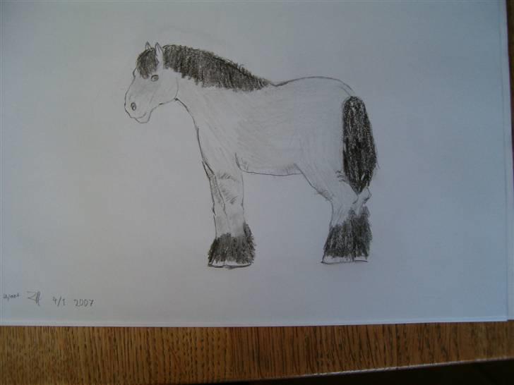 Mine tegninger (dyr) - 4. Den er godt nok lidt underlig , men har nu taget den med alligevel ( : billede 6