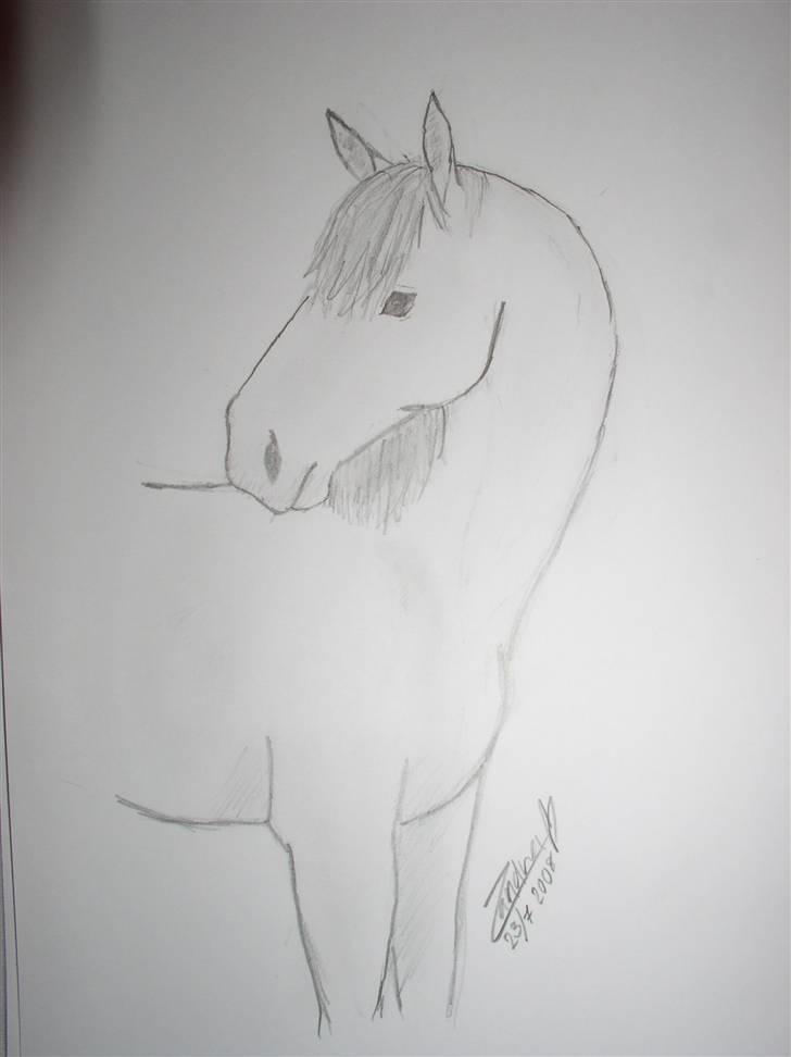 Mine tegninger (dyr) - 5. Denne her er jeg ret tilfreds med ( : Det er også en af mine nyeste tegninger .. billede 7