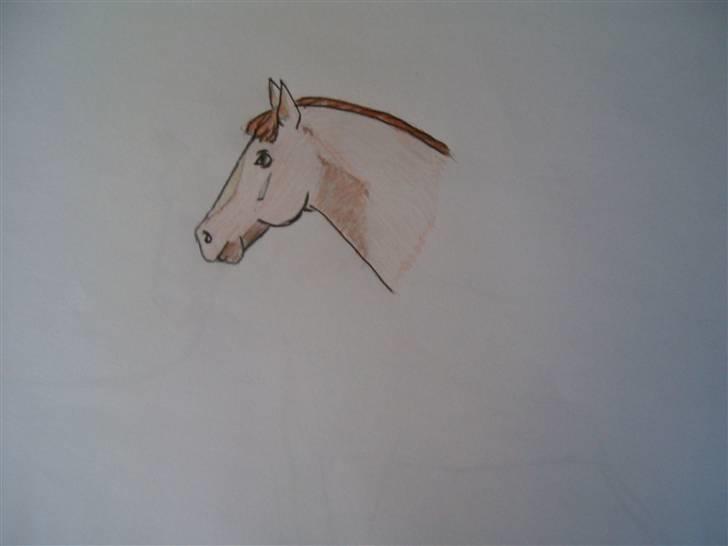 Mine tegninger (dyr) - 6. Den er nu meget sød ( : billede 8